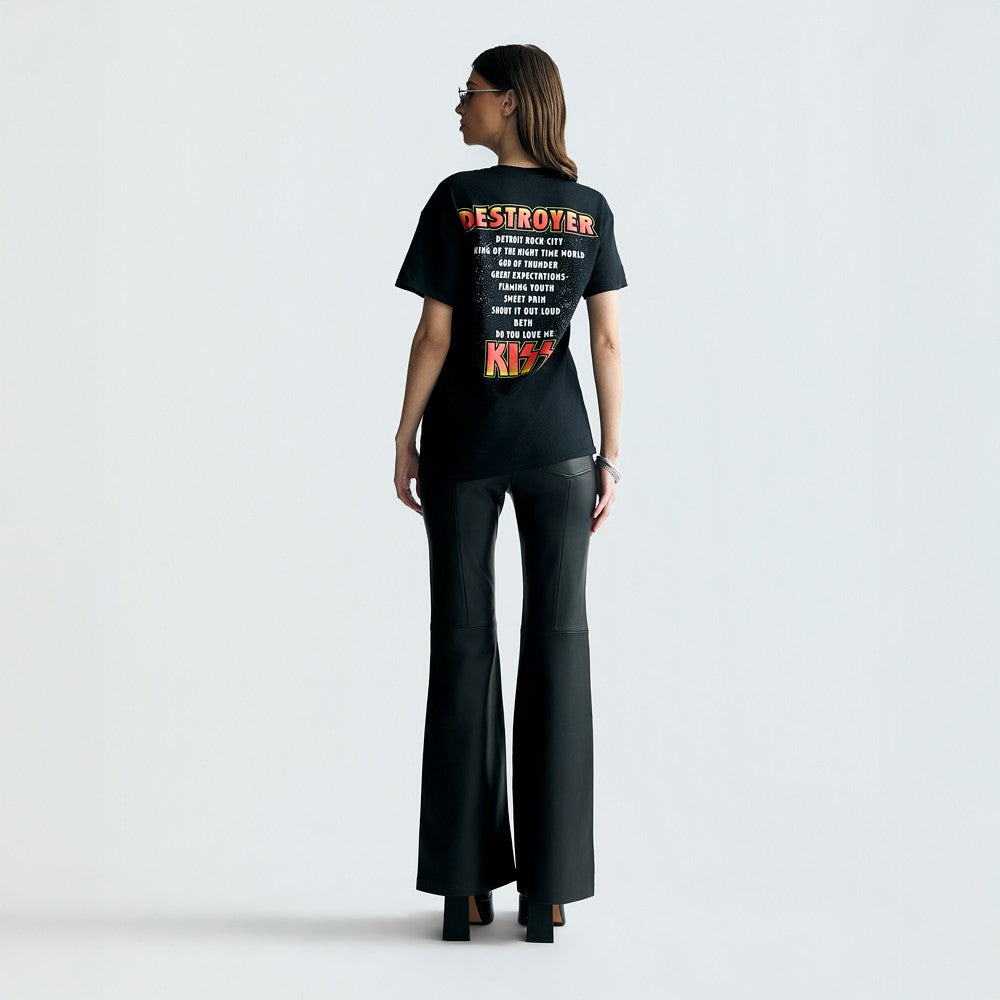 Destroyer 50th Anniversary Deluxe Picture Disc + Destroyer 50th